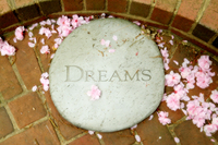 DREAMS - © ELIZABETH SANTANA LINARES 2003-2010.  ALL RIGHTS RESERVED.