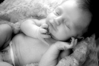  - © ELIZABETH SANTANA LINARES 2003-2010.  ALL RIGHTS RESERVED.