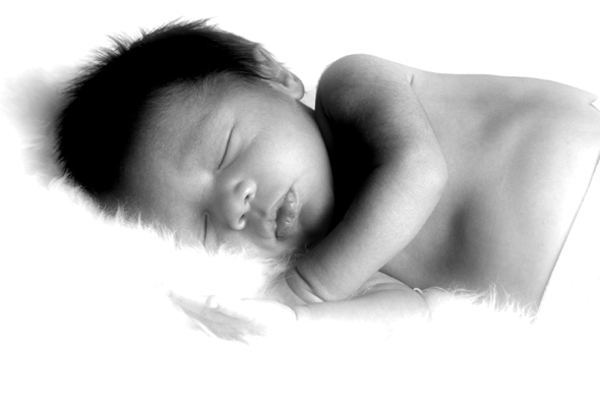 © ELIZABETH SANTANA LINARES 2003-2013.  ALL RIGHTS RESERVED.
