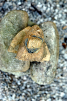 Stone Angel - © ELIZABETH SANTANA LINARES 2003-2010.  ALL RIGHTS RESERVED.