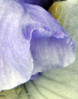 © ELIZABETH S LINARES 2003-2025. ALL RIGHTS RESERVED.