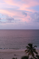 © ELIZABETH S LINARES 2003-2025. ALL RIGHTS RESERVED.