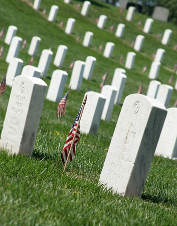 MEMORIAL DAY TRIBUTE