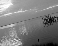 © ELIZABETH S LINARES 2003-2025. ALL RIGHTS RESERVED.