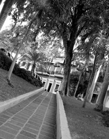 © ELIZABETH S LINARES 2003-2025. ALL RIGHTS RESERVED.
