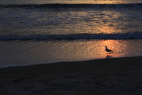 © ELIZABETH S LINARES 2003-2025. ALL RIGHTS RESERVED.