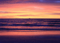 © ELIZABETH S LINARES 2003-2025. ALL RIGHTS RESERVED.
