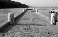 © ELIZABETH S LINARES 2003-2025. ALL RIGHTS RESERVED.