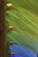 © ELIZABETH S LINARES 2003-2025. ALL RIGHTS RESERVED.