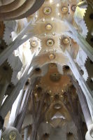 © ELIZABETH S LINARES 2003-2025. ALL RIGHTS RESERVED.