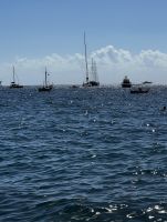 © ELIZABETH S LINARES 2003-2025. ALL RIGHTS RESERVED.