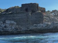 © ELIZABETH S LINARES 2003-2025. ALL RIGHTS RESERVED.