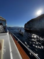 © ELIZABETH S LINARES 2003-2025. ALL RIGHTS RESERVED.