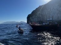 © ELIZABETH S LINARES 2003-2025. ALL RIGHTS RESERVED.