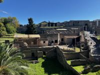 © ELIZABETH S LINARES 2003-2025. ALL RIGHTS RESERVED.