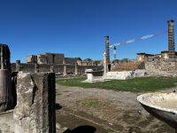 © ELIZABETH S LINARES 2003-2025. ALL RIGHTS RESERVED.