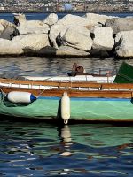 © ELIZABETH S LINARES 2003-2025. ALL RIGHTS RESERVED.