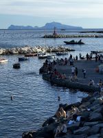 © ELIZABETH S LINARES 2003-2025. ALL RIGHTS RESERVED.