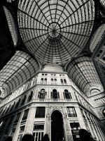 © ELIZABETH S LINARES 2003-2025. ALL RIGHTS RESERVED.