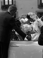 © ELIZABETH S LINARES 2003-2025. ALL RIGHTS RESERVED.