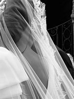 © ELIZABETH S LINARES 2003-2025. ALL RIGHTS RESERVED.