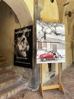 © ELIZABETH S LINARES 2003-2025. ALL RIGHTS RESERVED.