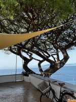 © ELIZABETH S LINARES 2003-2025. ALL RIGHTS RESERVED.