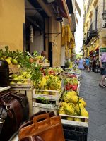 © ELIZABETH S LINARES 2003-2025. ALL RIGHTS RESERVED.