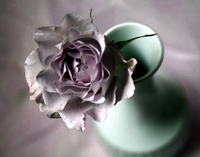 © ELIZABETH S LINARES 2003-2025. ALL RIGHTS RESERVED.