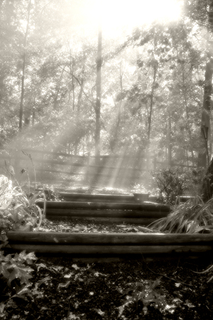 AFTER THE RAIN II