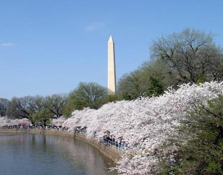 TIDAL BASIN