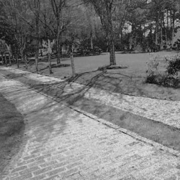 MEANDER