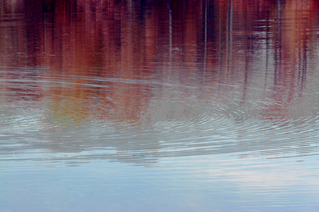 RIPPLE