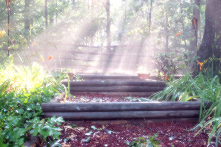 AFTER THE RAIN I